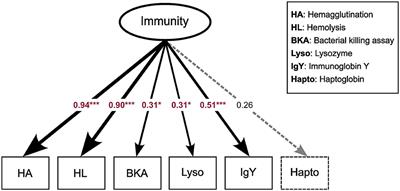 The gut microbiota-immune-brain axis in a wild vertebrate: dynamic interactions and health impacts